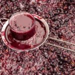 uvas para vinho, principais uvas viníferas