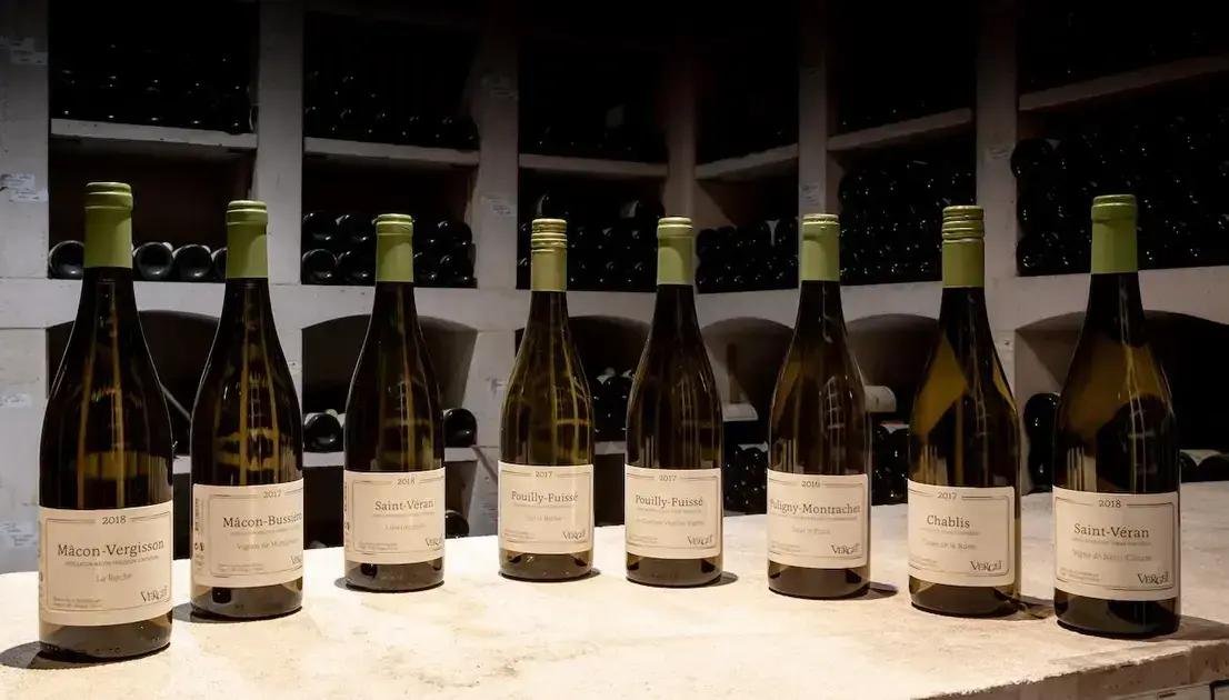 5 Formas de Fechar Garrafas de Vinho Corretamente