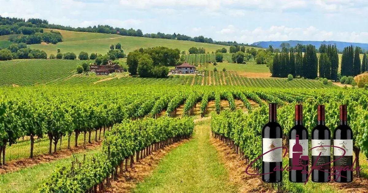 as-melhores-vinicolas-que-produzem-cuvee Cuveé: O Que é e Como Difere de Outros Vinhos para Apreciadores