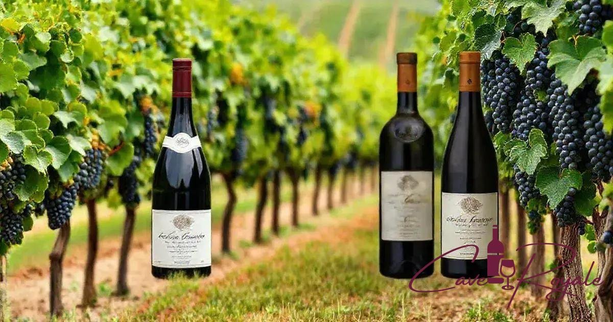 Domaine Leroy Vinhos Premium Borgonha: Conheça a excelência em cada garrafa