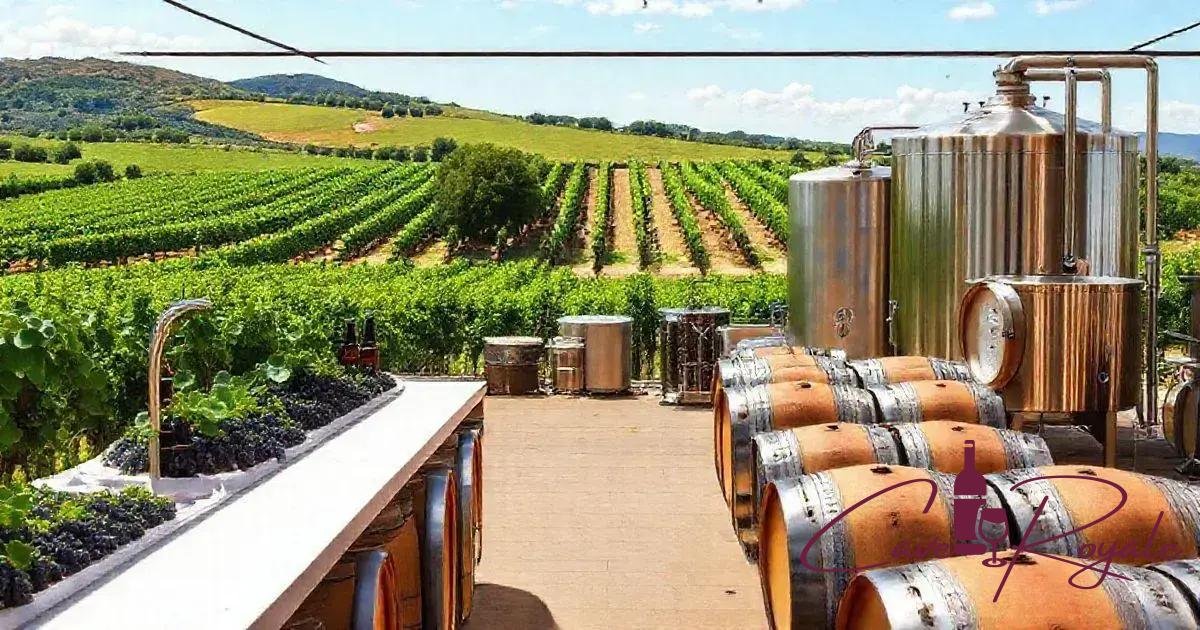 processo-de-vinificacao-na-sardenha Sardenha: Vinhos de Tradição e Qualidade que Você Precisa Conhecer