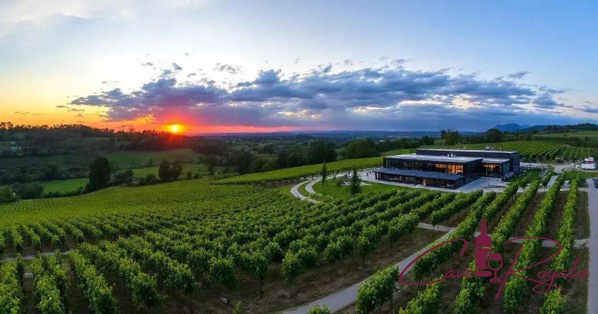 historia-da-tondela-vinicola Tondela Vinícola Vinhos Premium: Descubra a Excelência nas Taças