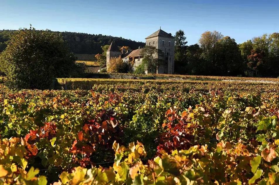 Top 5 Vinhos Gevrey-Chambertin 2023 em Primeur