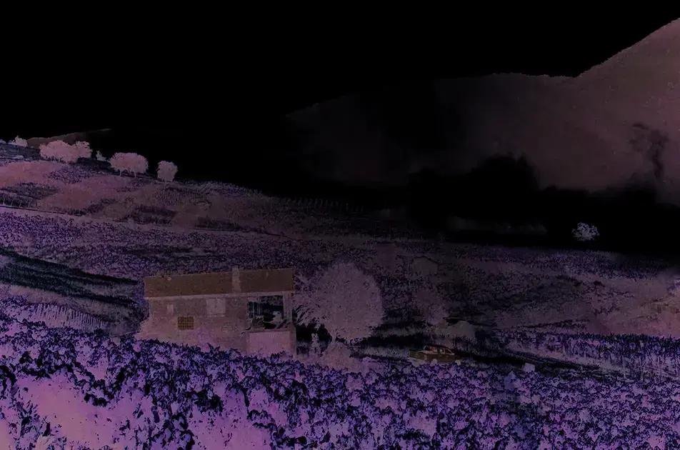 10 Vinhos de Bierzo que Você Precisa Experimentar