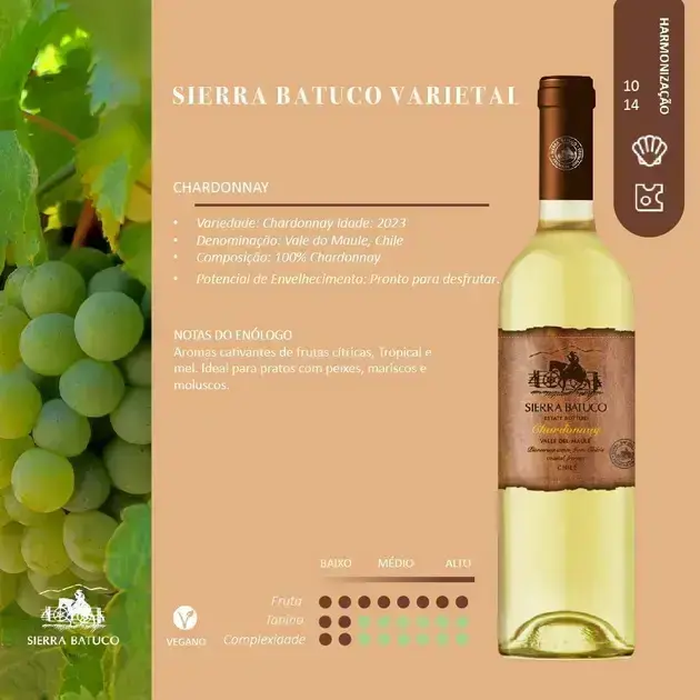 garrafa-de-vinho-com-fundo-composto-por-uma-imagem-de-uvas-verdes-complementando-o-tema-do-vinho Vinho Chardonnay Sierra Batuco: Descubra em 2025