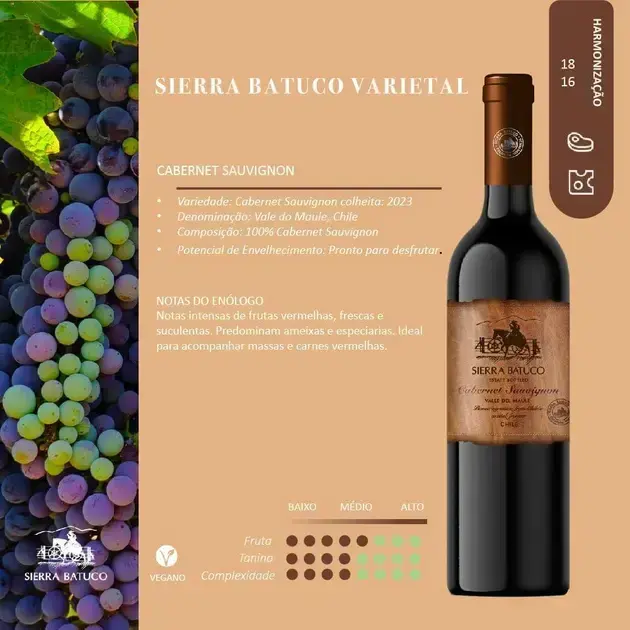 garrafa-de-vinho-com-fundo-composto-por-uvas-em-tons-de-roxo-e-verde-criando-um-contraste-1 Sierra Batuco Cabernet Sauvignon: O Melhor Vinho Tinto de 2025