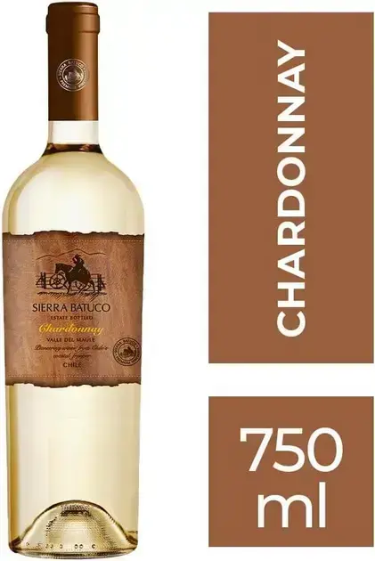 garrafa-de-vinho-com-fundo-de-cor-solida-em-um-tom-marrom-claro Vinho Chardonnay Sierra Batuco: Descubra em 2025