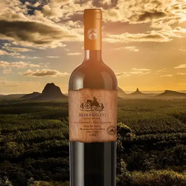 garrafa-de-vinho-em-cenario-natural-com-montanhas-ao-entardecer Sierra Batuco Cabernet Sauvignon: O Melhor Vinho Tinto de 2025