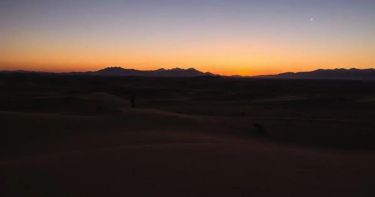 quais-vinhos-sao-veganos Todos os Vinhos São Veganos? Descubra a Verdade!