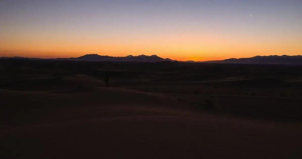 Todos os Vinhos São Veganos? Descubra a Verdade!