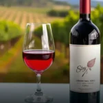 8 vinhos sauvignon blanc para comprar e degustar