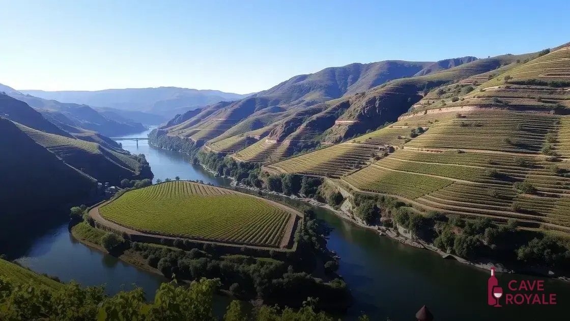A história do Vinho do Porto