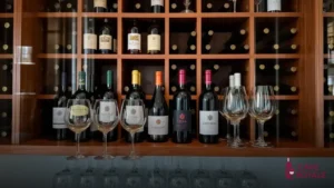 Acessórios para vinho: adega, taça
