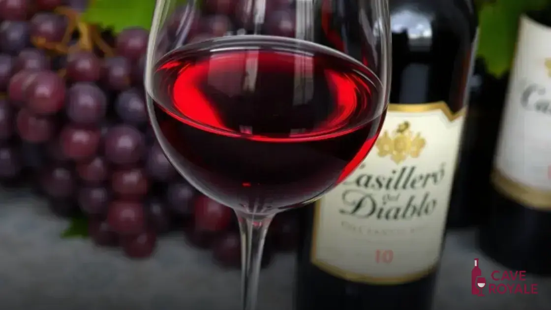 Características do Casillero Del Diablo