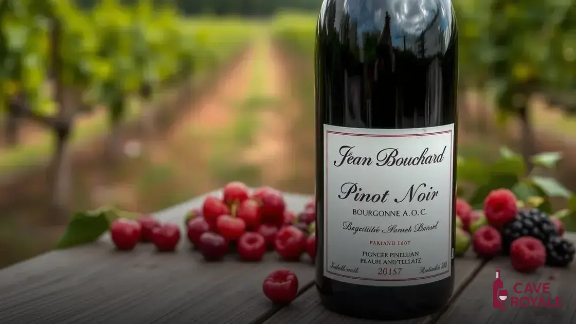 Características do Jean Bouchard Pinot Noir