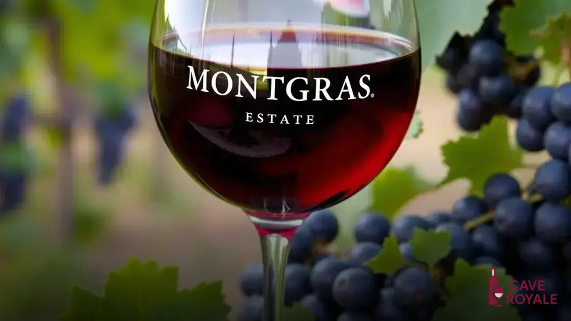 Características do Montgras Estate Cabernet Sauvignon