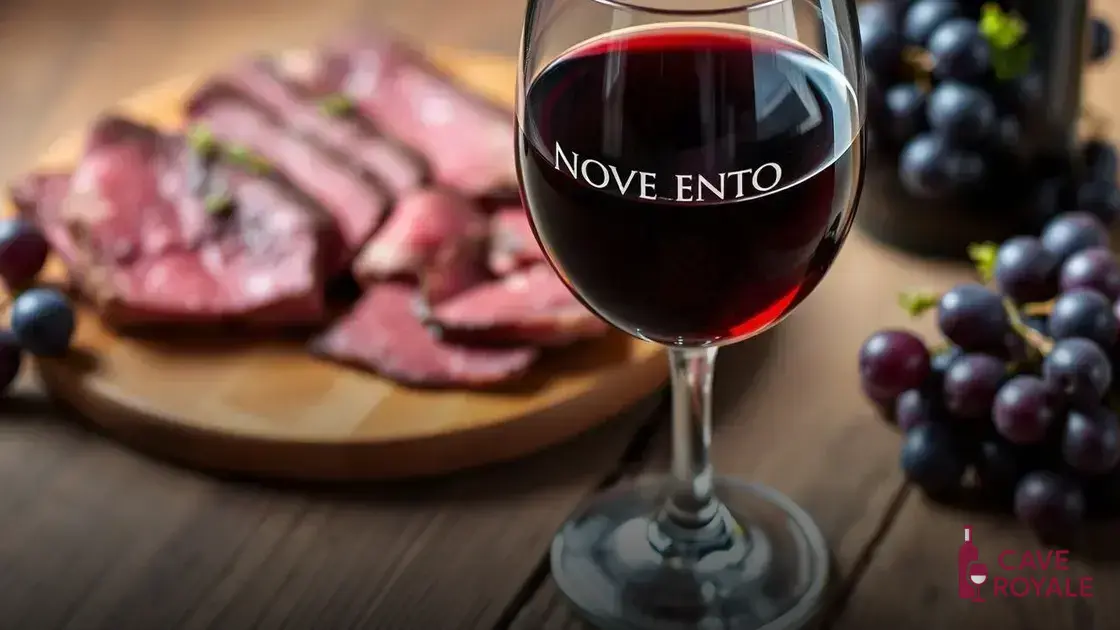 Características do Novecento Cabernet Sauvignon