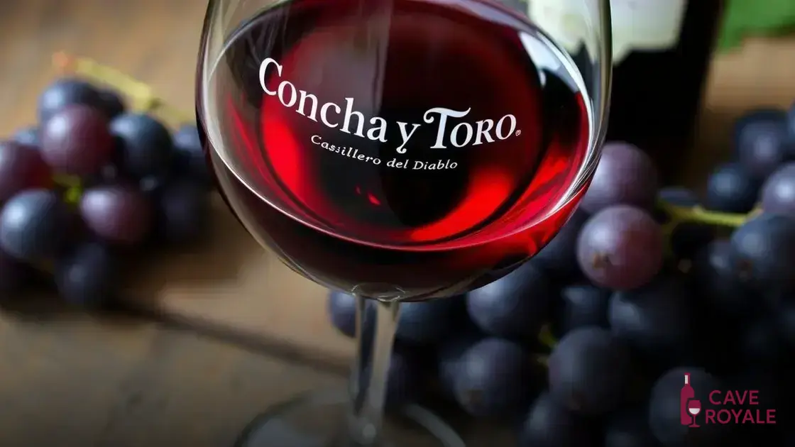 Características do Vinho