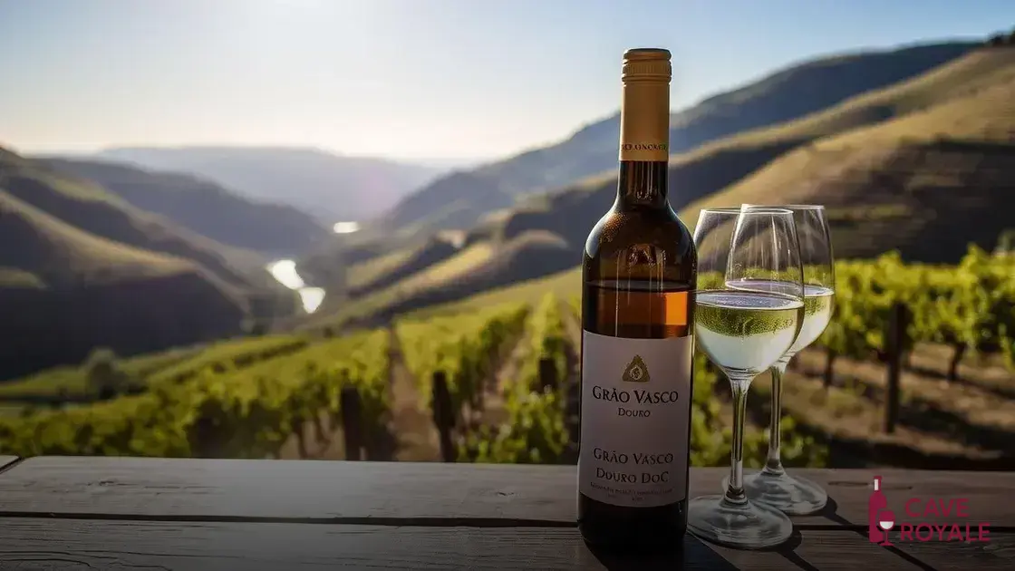 Características do vinho Grão Vasco Douro DOC