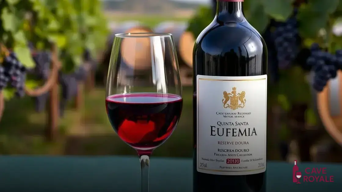 Características do Vinho Quinta Santa Eufémia Reserva Douro