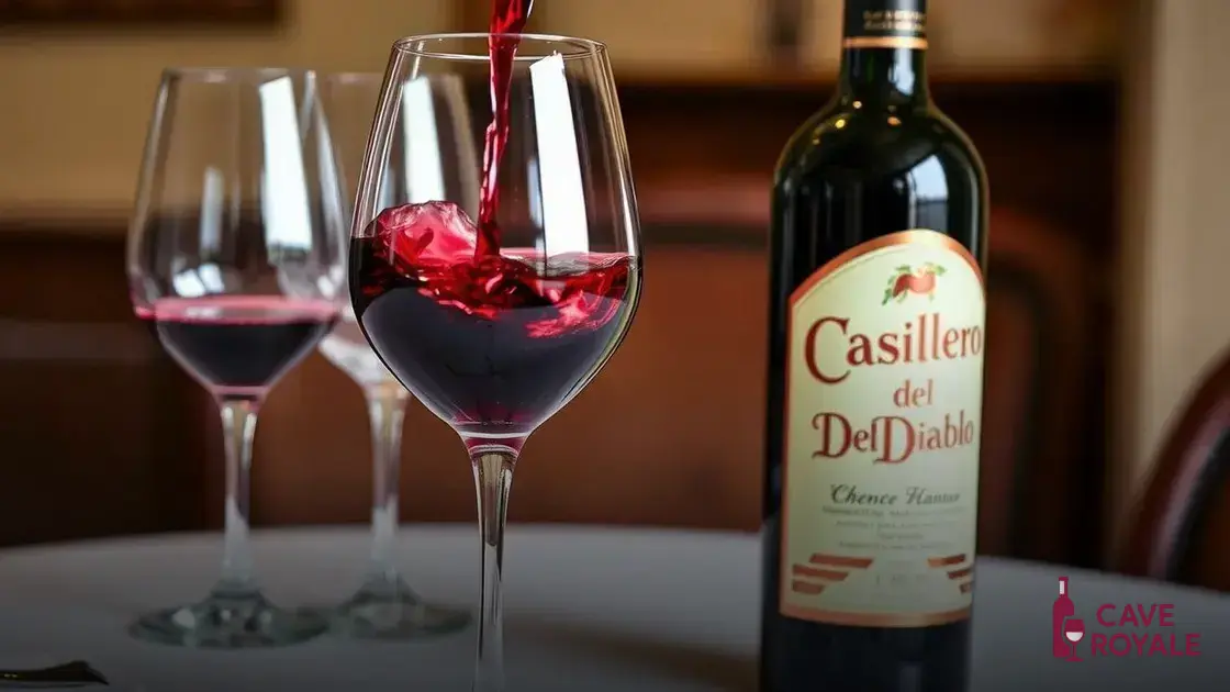 Como Apreciar o Casillero Del Diablo