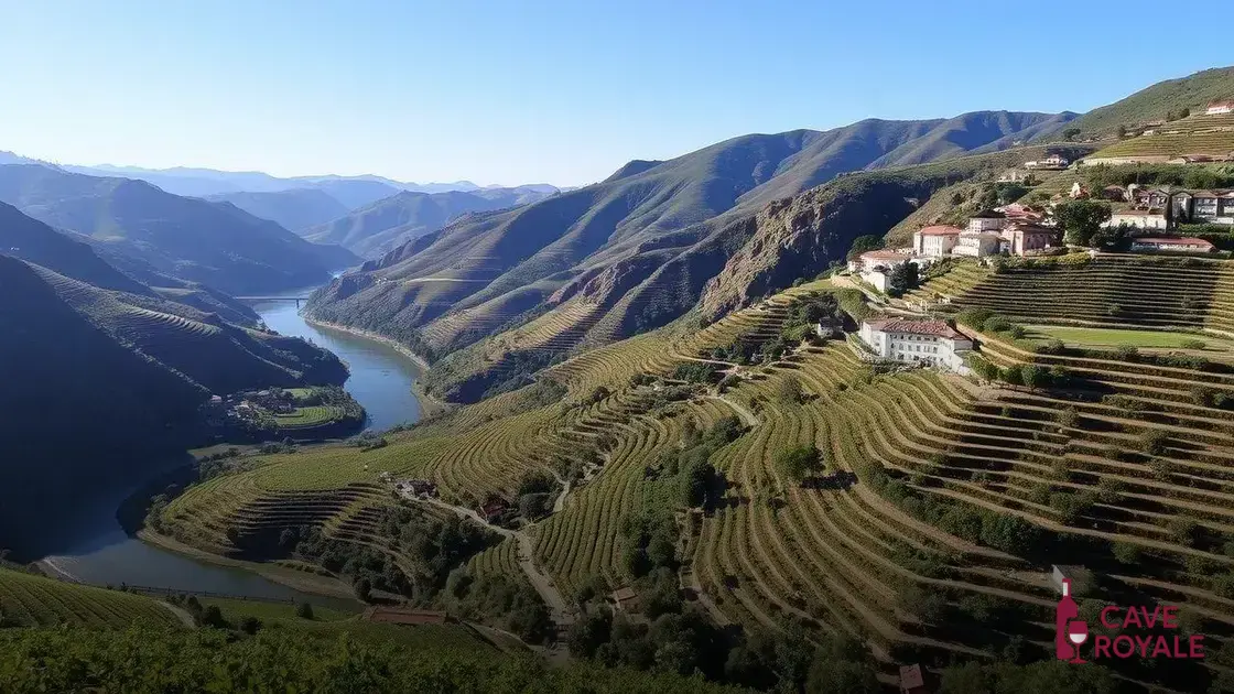Curiosidades sobre a região do Douro