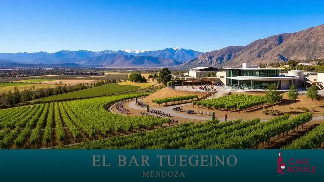 Curiosidades sobre a vinícola El Bar Argentino