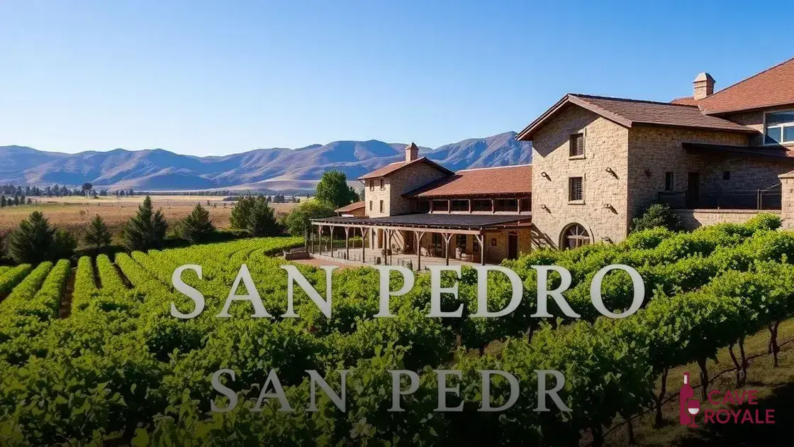 historia-da-vinicola-san-pedro Vinho-Tinto-Chileno-San-Pedro-Misiones-De-Rengo