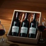 Kit Caixa Fechada 6 Vinhos Torreon Malbec