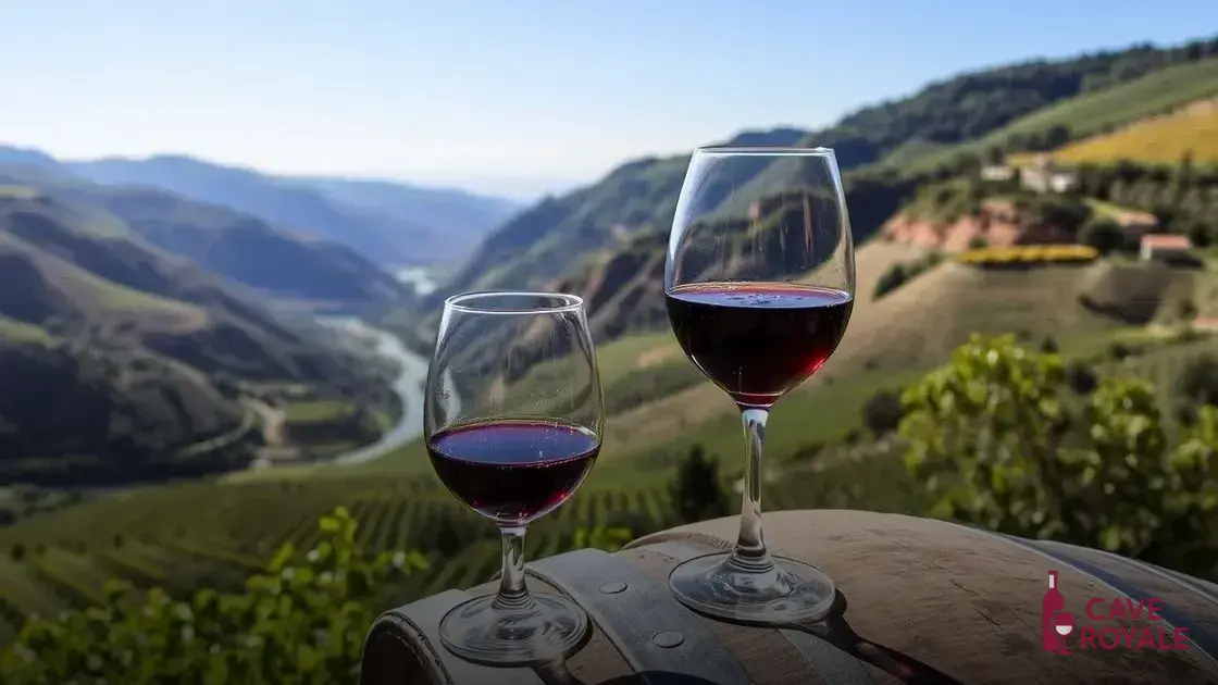 O que caracteriza um vinho do Porto?