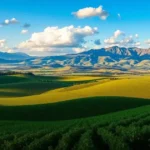 Rioja (Espanha): conheça os vinhos envelhecidos da D.O.C.