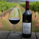 Vinho Argentino Cruz Del Sur Malbec