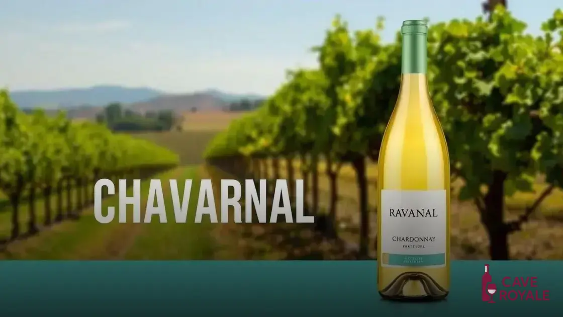 Vinho Branco Chileno Ravanal Chardonnay