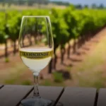 Vinho Branco Uruguaio La Hacienda Chardonnay