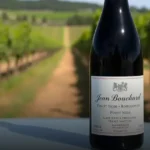 Vinho Francês Jean Bouchard Pinot Noir Bourgogne A.O.C.