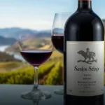 Vinho Português Santos e Seixo Néctar Tinto Douro D.O.C