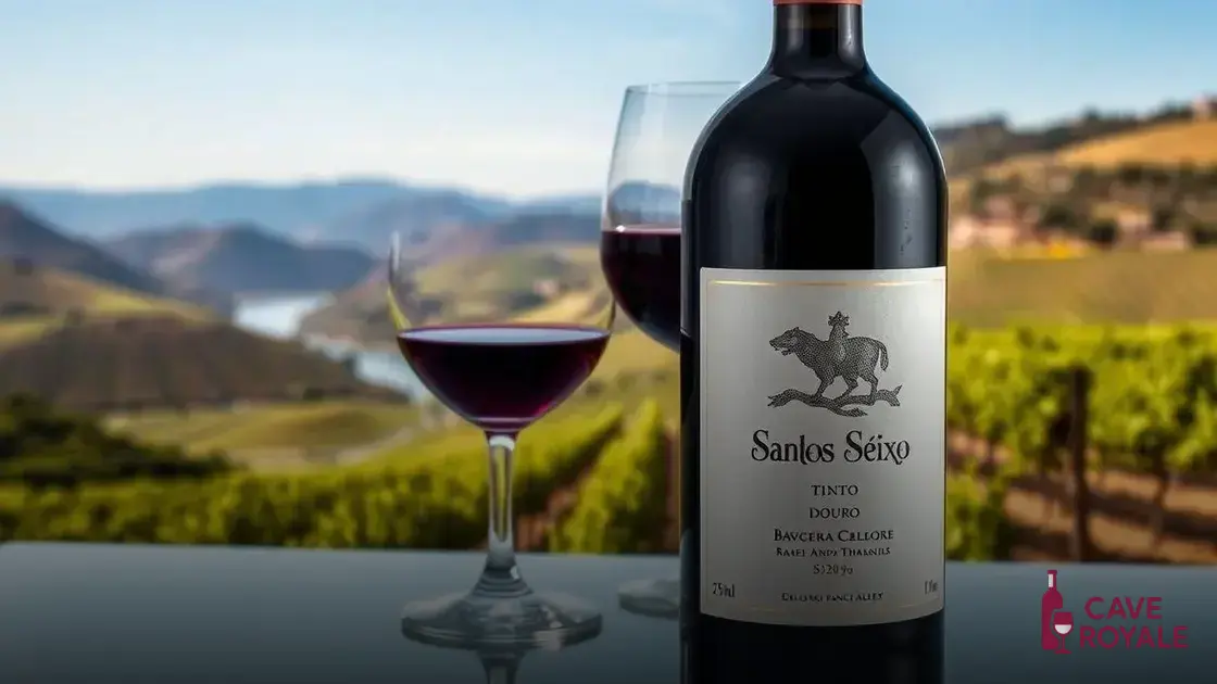Vinho Português Santos e Seixo Néctar Tinto Douro D.O.C