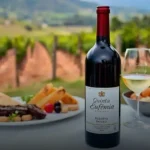 Vinho Quinta Santa Eufémia Reserva Douro