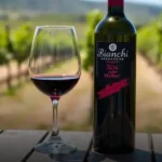 Vinho Tinto Argentino Bianchi Soñador Malbec