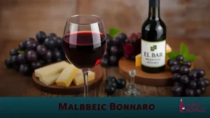 Vinho Tinto Argentino El Bar Argentino Malbec Bonarda