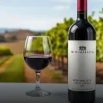 Vinho Tinto Argentino Minimalista Cabernet Sauvignon