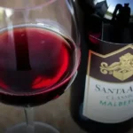 Vinho Tinto Argentino Santa Ana Classic Malbec