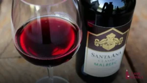 Vinho Tinto Argentino Santa Ana Classic Malbec