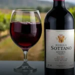 Vinho Tinto Bodega Sottano Reserva de Familia Malbec