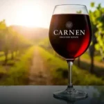 Vinho Tinto Carmen Discovery Estate Selección Carménère