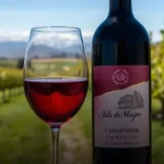 Vinho Tinto Chileno Isla De Maipo Carménère