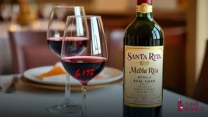 Vinho Tinto Chileno Santa Rita Medalla Real Gran
