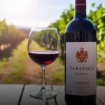 Vinho Tinto Chileno Tarapacá Reserva Carménère