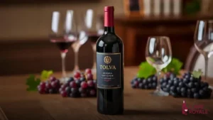 Vinho Tinto Chileno Tolva Reserva Cabernet Sauvignon