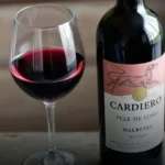 Vinho Tinto Cordero em Pele de Lobo Malbec